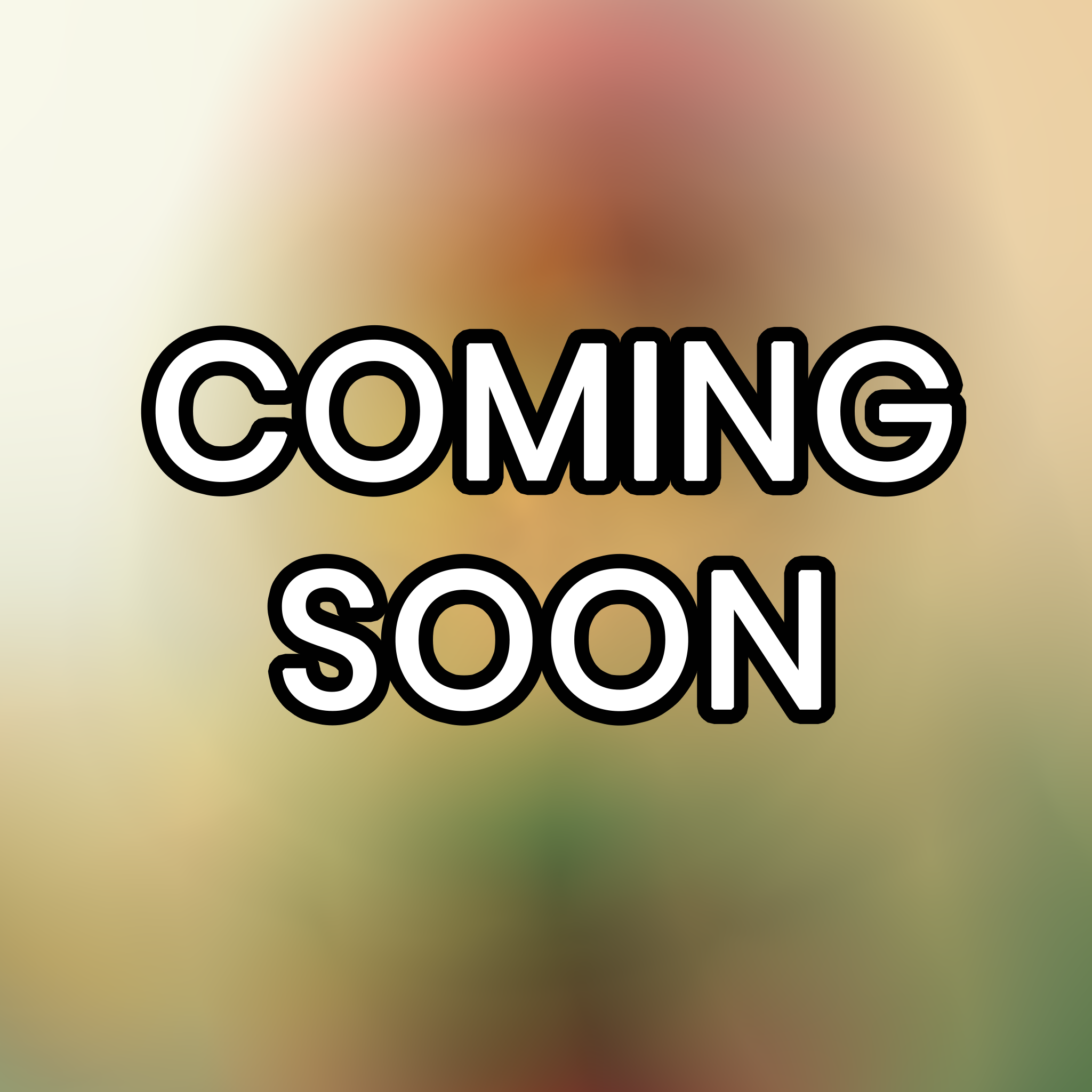 German Vocabulary Quiz